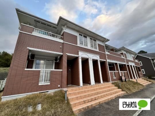 �V�����E�h�E�t���[���U �O�ώʐ^