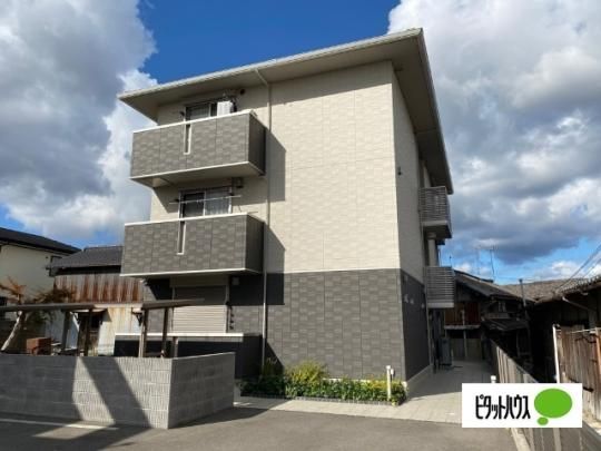 �J�������V�� �O�ώʐ^