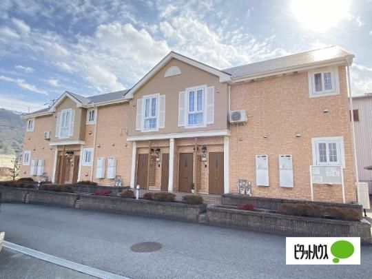 �J�[�T�O���[���T �O�ώʐ^