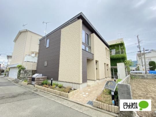 �Z�g���E�R���`�F���g �O�ώʐ^