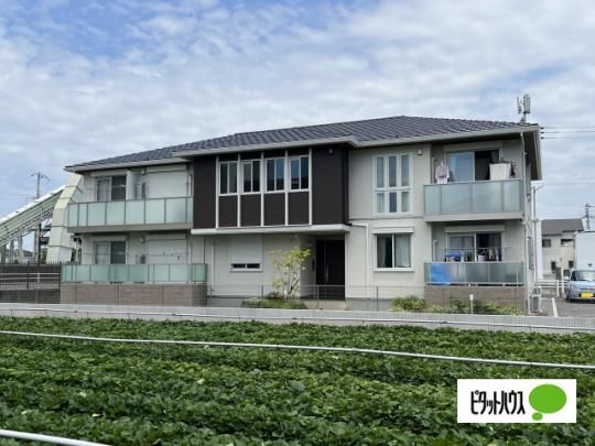 �V���[���]���l�h�r�`�@ �O�ώʐ^