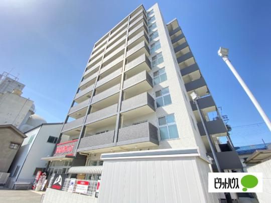 �t�F���V�A�k �O�ώʐ^