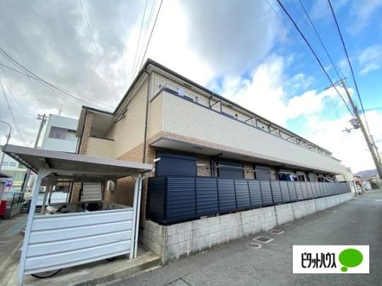 �t�W�p���X�썲�k�V �O�ώʐ^