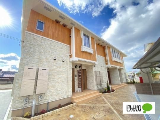 ���F���\�[�L�{�V �O�ώʐ^