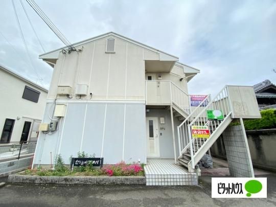 �Z�W���[���A�L�o �O�ώʐ^