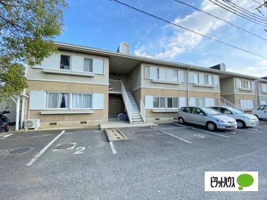 �h�~�[���N���X �O�ώʐ^