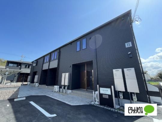 �G�X�y�����T�U�i�a�̎R�s�؃m�{ �O�ώʐ^