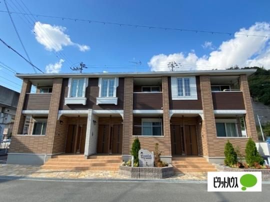 �R���t�H�[�g �O�ώʐ^