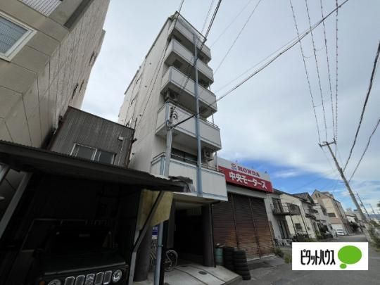 �W���C�t���`�@�� �O�ώʐ^