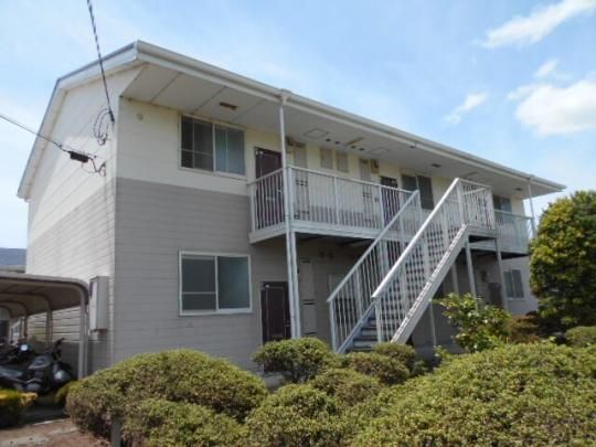 ���o�e�B�c�C���T �O�ώʐ^