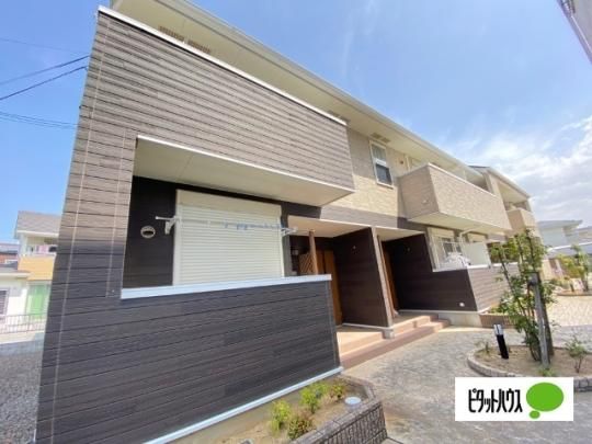 �A���j�[���@�T �O�ώʐ^