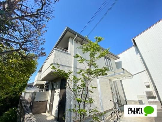 �V���[���]���x�~ �O�ώʐ^