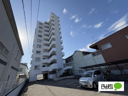 �V�e�B�n�C�c�L�� �O�ώʐ^