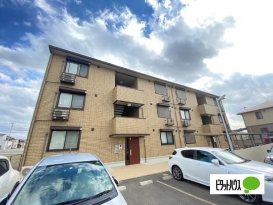 D-room �p�X�g���[���@�U �O�ώʐ^