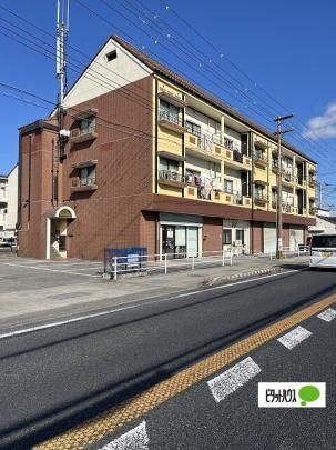 �p�������[ �O�ώʐ^