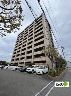 �T�[�p�X������ �O�ώʐ^