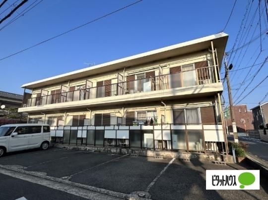 ���W�f���X������ �O�ώʐ^